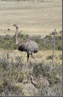 IMG_0575 IMG_0575