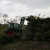 Tannenbaumaktion 08_771.jpg