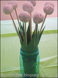 IMG_6125 IMG_6125