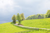 DSC_0123.JPG