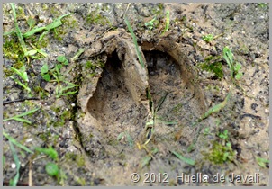 DSC_1188 DSC_1188