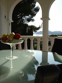 Terrace with seaview