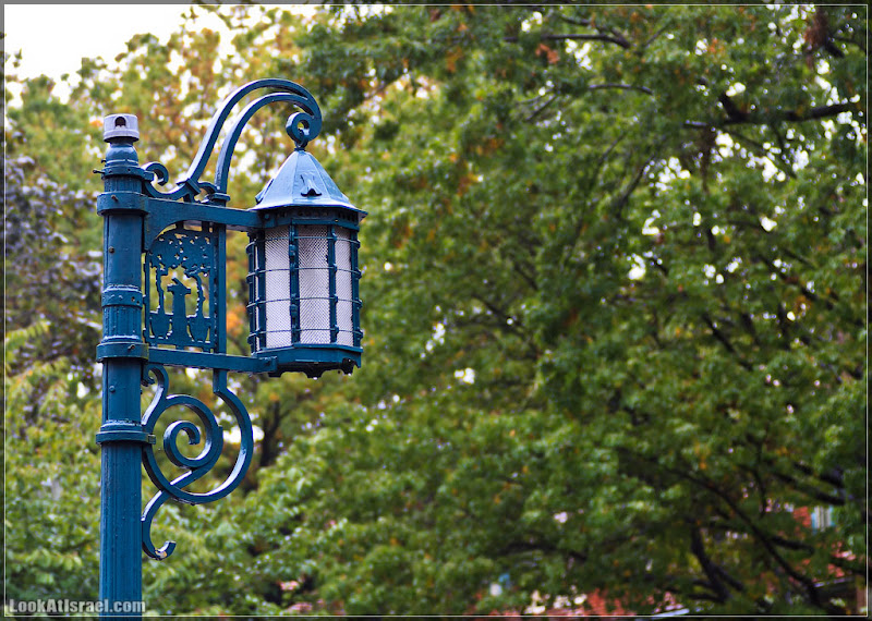 Америка 2.0 / Нью Йорк   Forest Hills (foto america  фото природа дождь и снег new york  20111019 usa ny forest hills 011 9069)