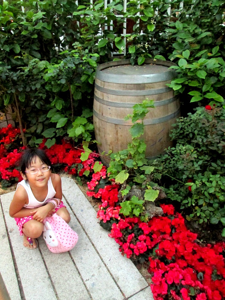 [IMG_1645%255B3%255D.jpg]