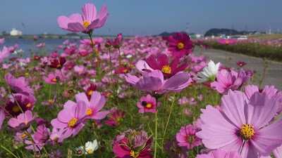2014-10-11 10.12.14.jpg