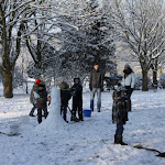 Bevers_in_de_sneeuw_2012_009.jpg