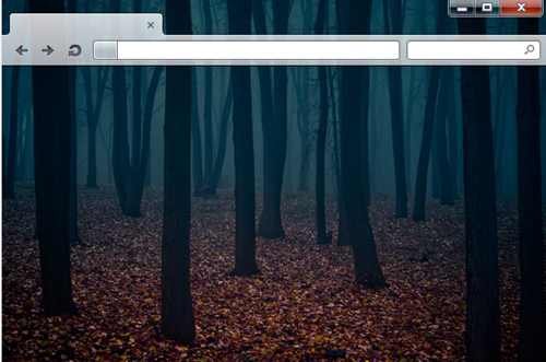 Foggy Forest