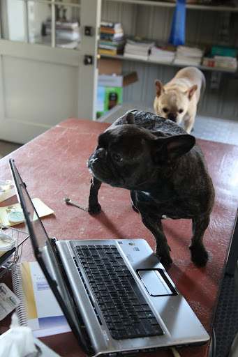 Sharkey, I'll get busy and backup her files from her old computer before we put it away.