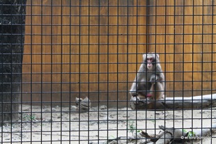 [IMG_3513%255B3%255D.jpg]