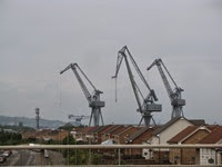 IMG_2514 IMG_2514