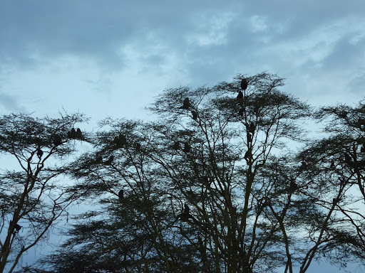 P1080075