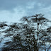 P1080075