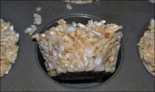 frozen rice balls frozen rice balls