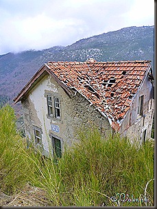 P1140422 P1140422