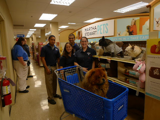 Okay girls, let's look through the holiday line of Martha Stewart Pets and pick out something great.  We have all of these wonderful PetSmart employees to help us.