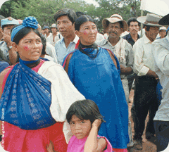 Guarani_tranredes