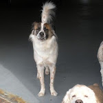 DSCN3600.jpg