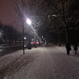DSC00413.JPG