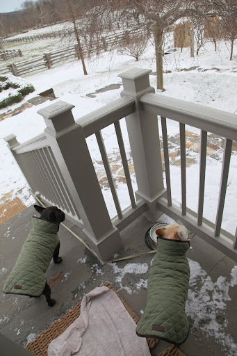Well, well, well!  It looks like it snowed last night!  You know what that means, Sharkey?