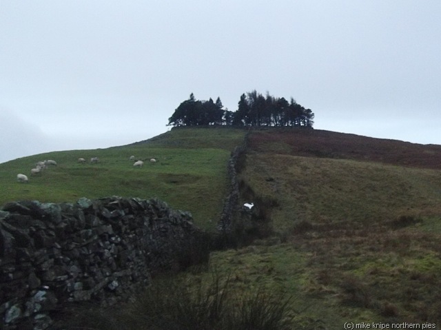 [kirkcarrion%2520009%255B7%255D.jpg]