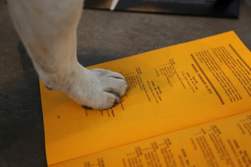 Let's see, the schedule says that the Chow Chows are in Ring One on Monday at 10:15am...so that's where we'll find G.K.