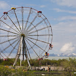 IMG_4464.jpg