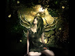 Wizdom Of Sexy Faery