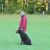 Herbstprüfung 2011 003.JPG