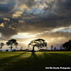 Richie Ryan - The Park.jpg