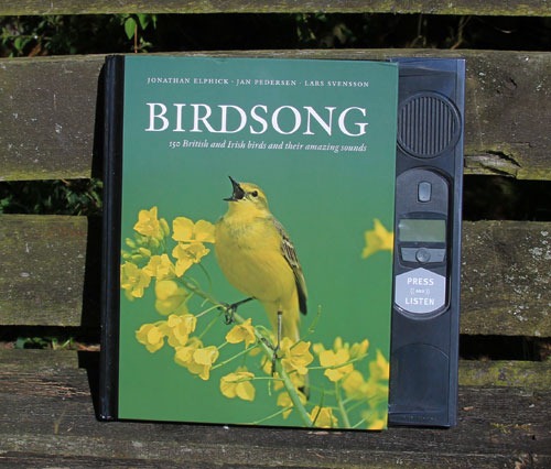 [birdsong-book%255B2%255D.jpg]