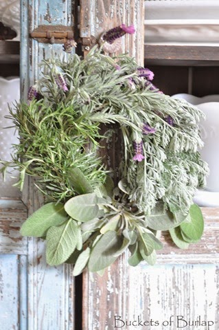 [Herbs%25209%255B4%255D.jpg]