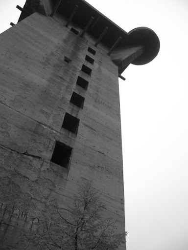 DSCF5388.JPG