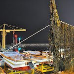 DSC_0955.JPG