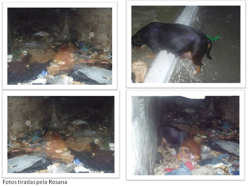 [Slide1%255B3%255D.jpg]