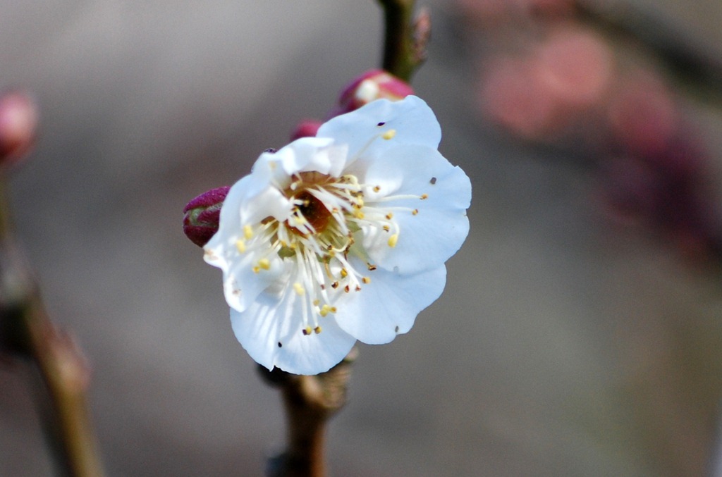 [DSC_0013%255B4%255D.jpg]