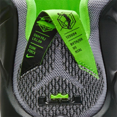 lebron 12 dunk force