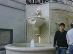 IMG00685-20100130-1431.jpg