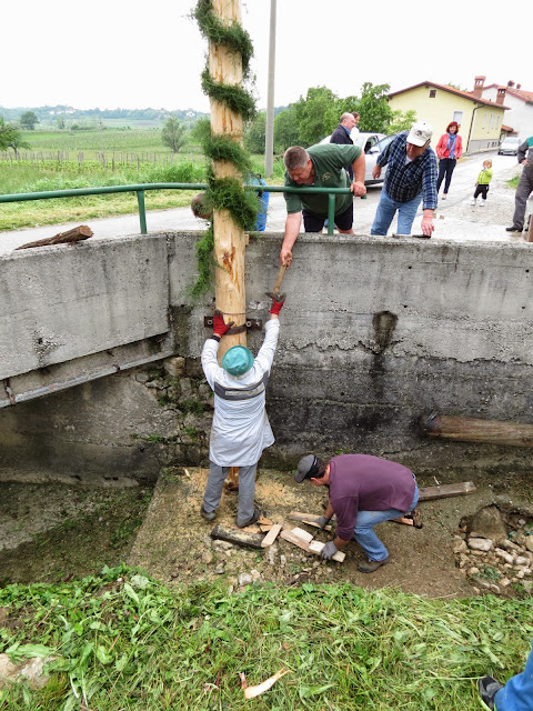 2014-Mlaj-in-kresovanje-46.JPG