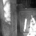R0029794.JPG