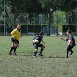 DSC_0246.JPG