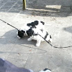 DSCN0263.JPG