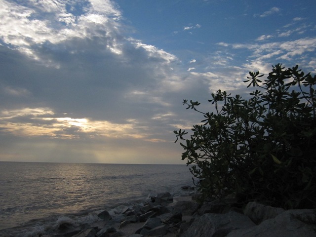 [IMG_41691.jpg]