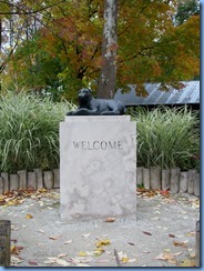 IMG_3975 IMG_3975