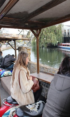 IMG_2351 IMG_2351