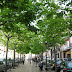 Plaça de l'Oli