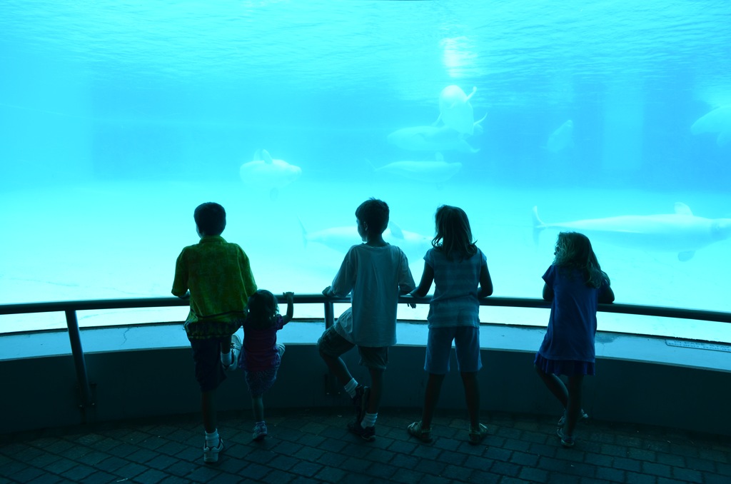 [DSC_1691%255B3%255D.jpg]