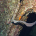 P7285763