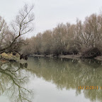 IMG_1553.JPG