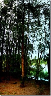 autostiched pano with extra saturation autostiched pano with extra saturation