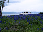 p1238993262(11).jpg
